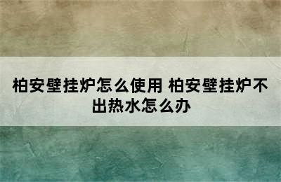 柏安壁挂炉怎么使用 柏安壁挂炉不出热水怎么办